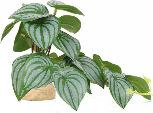 Reptile Plants for Terrarium Decor,Amphibian Habitat Decor,Artificial Plants for Gecko Chameleon Snake Tortoise Tank Accessories with Base (Green Watermelon peperomia)