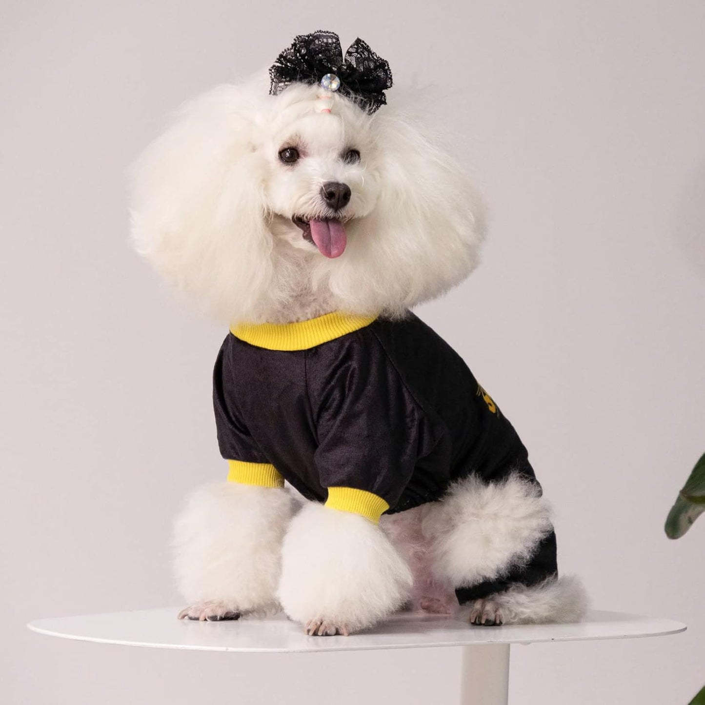 CuteBone Dog Halloween Pajamas Puppy Onesies Small Dogs Soft Pjs Coat Cat Apparel Comfy Pet Christmas Clothes Outfit Doggie Bodysuit P264XS