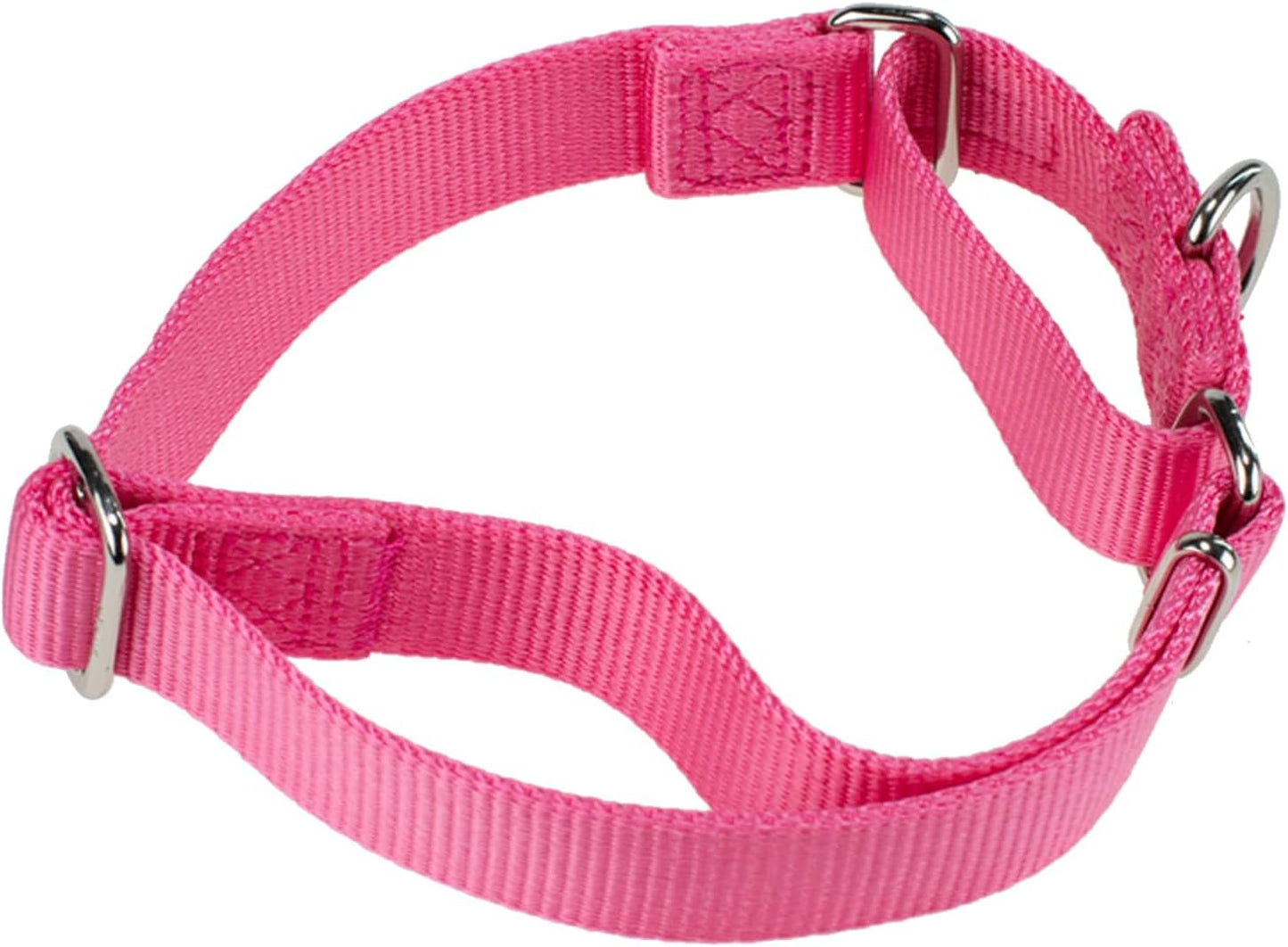 Hyhug Improved Design Nylon Webbing, Cold Water Washing Does Not Fade, Not Polluting Dog Hair, Wear Resistant and Not Prone to Fuzzing. No Slip Training Martingale Collar. (Candy Pink, Large)
