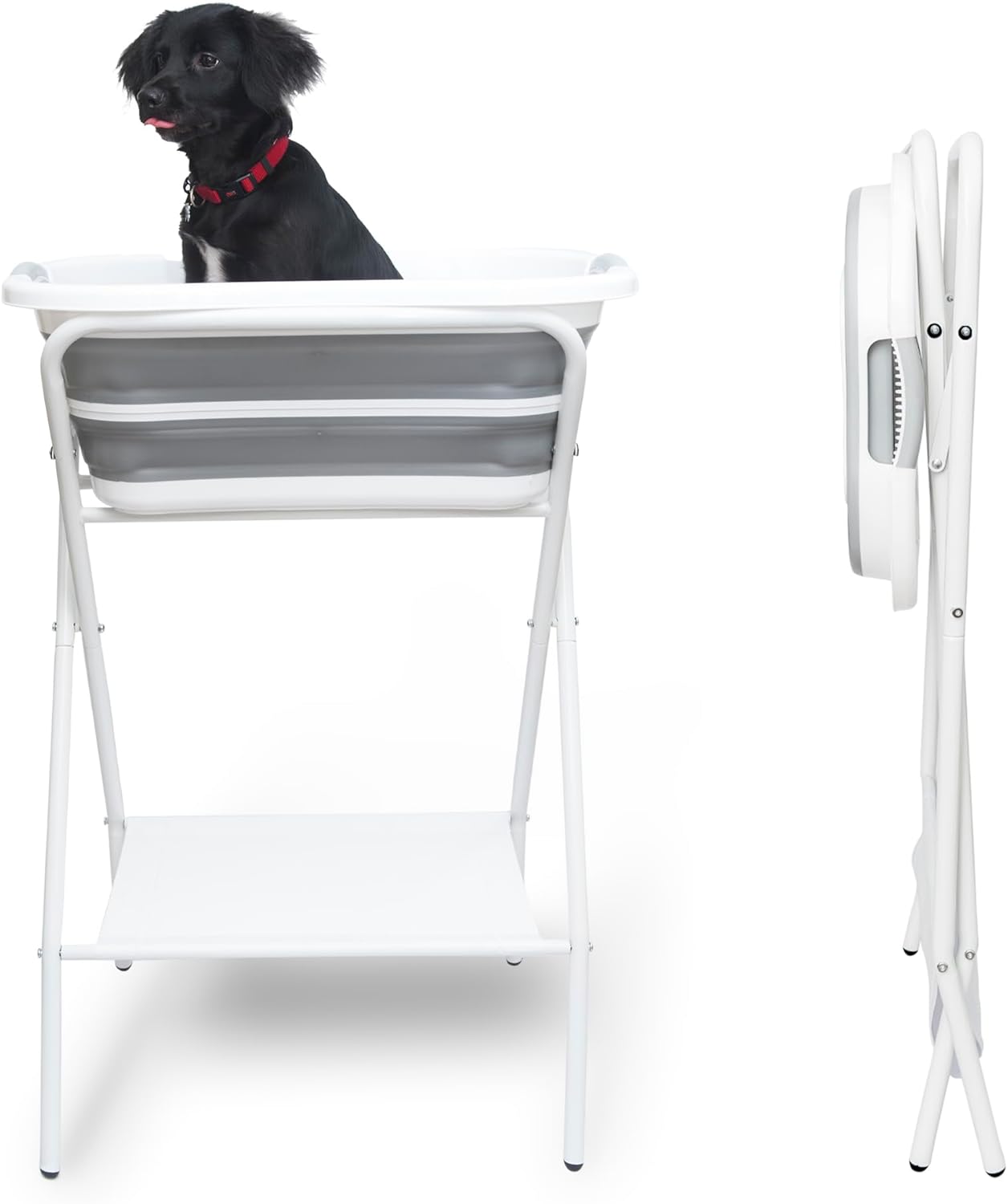 Smoochie 2 in 1 Dog Bathtub Washing Station, Elevated Pet Bath Tub, Collapsible and Portable Bathtub for Dogs, Cats Bathing, Shower and Grooming, Indoor and Outdoor