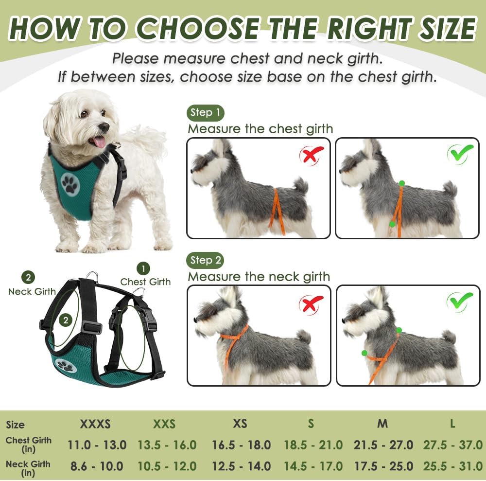 SlowTon Dog Seat Belt Harness for Car, Dog Car Harness Adjustable Mesh Breathable & Dog Seatbelt Safety Tether with Elastic Bungee for Small Medium Large Pets(Green, Double Clip, XXXS)
