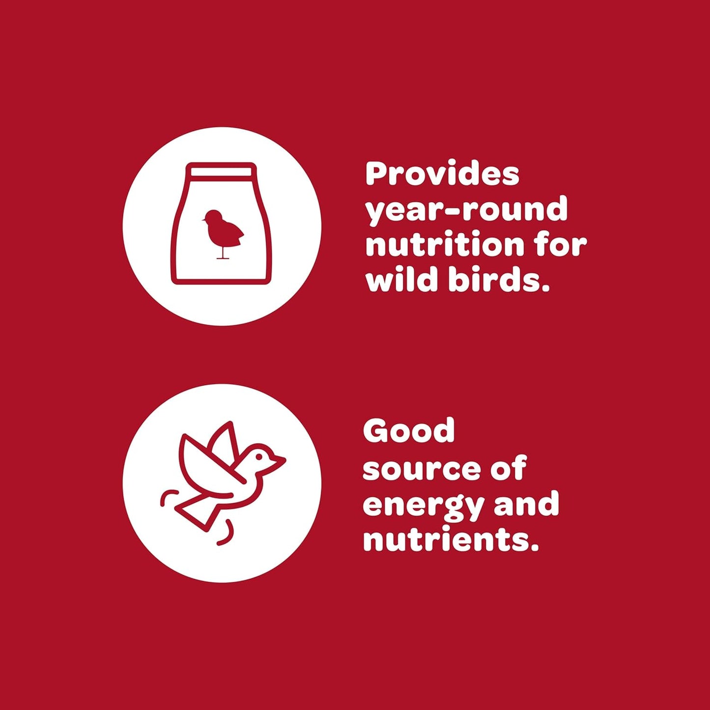 Kaytee Wild Bird Finch Food Blend, 5 lb