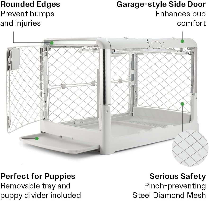 DIGGS Revol Collapsible Dog Crate with Wheels - Premium Portable Dog Crate - Safe, Stylish, and Convenient Indoor Kennel (Ash, Medium)