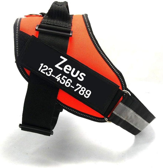 PawPawify Custom No Pull Dog Harness with Name and Phone Number, Heavy Duty Personalized Pet Vest to Prevent Tugging, Pulling, or Choking, Training and Walking (Orange, L (40-60 LBS))