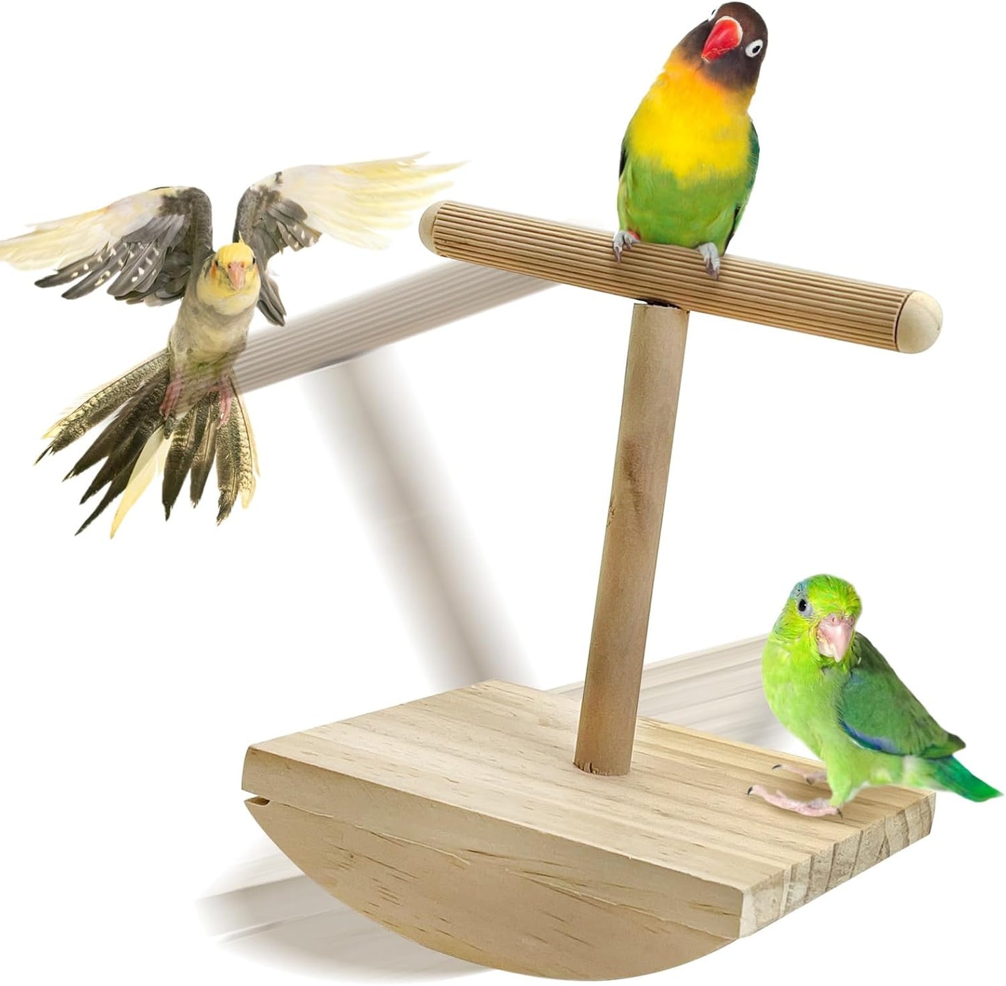 kathson Bird Training Stand Parakeet Playground Bird Perch Stand Portable Tabletop Bird Perch Parrot Stand perches T Shaped Bird Play Stand for Parakeet Conure Lovebird Cockatiel