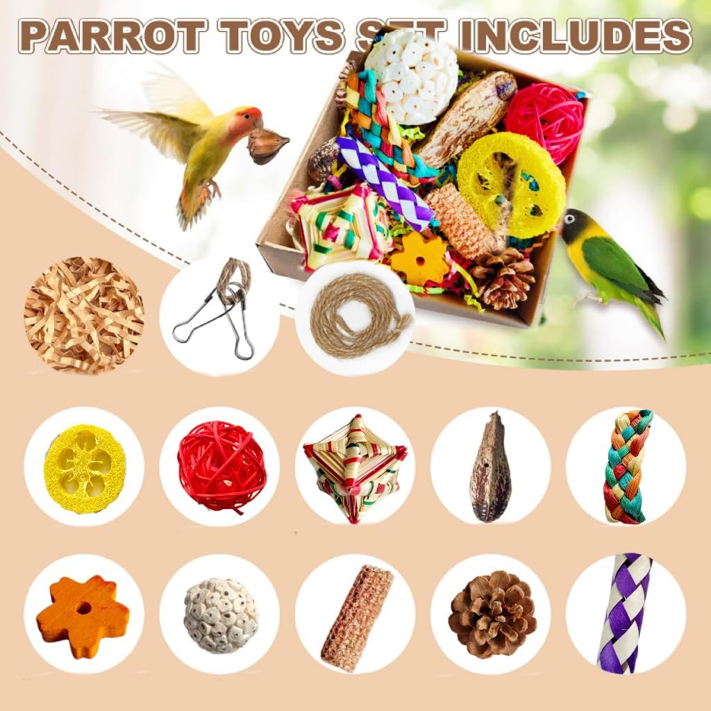 2 in 1 Parrot Toys, Tyotrbs Parakeet Foraging Box DIY Hanging String with Comes with 2 Hooks Bird Toy for Parakeets,Cockatiels,Conures,Love Birds Cage Accessories for Small to Medium Birds (Colorful)