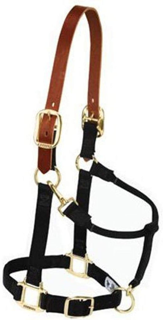 Weaver Equine Breakaway Horse Halter, Supple Leather Crown, Adjustable Chin & Throat Snap Halters for Horses, Equine Tack