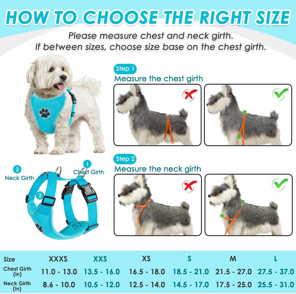 SlowTon Dog Seat Belt Harness for Car, Dog Car Harness Adjustable Mesh Breathable & Dog Seatbelt Safety Tether with Elastic Bungee for Small Medium Large Pets(Light Blue, Double Clip, XXS)