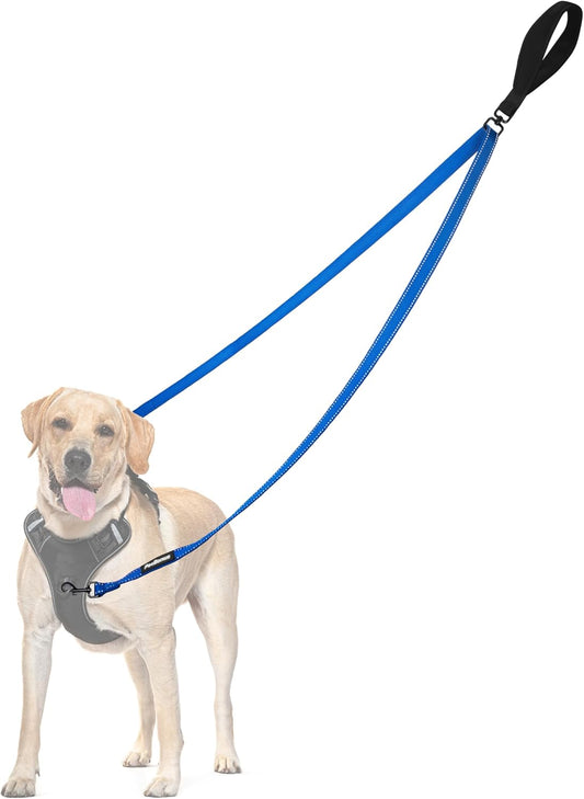 PetBonus Two Point Control Dog Leash, Works with No Pull Harnesses, No Tangle Dog Training Leashes, No Pull Padded and Reflective Walking Lead, Converts to Single Leash for Medium Large Dogs (Blue)