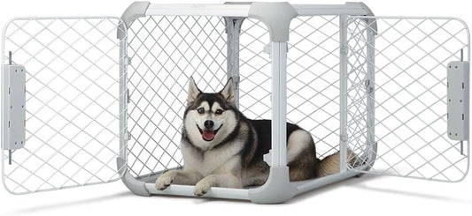 DIGGS Evolv Dog Crate - Slim, Durable Dog Kennel with Removable Ceiling Panel and Modular Design - Safe, Stylish, and Convenient (Ash, Medium)