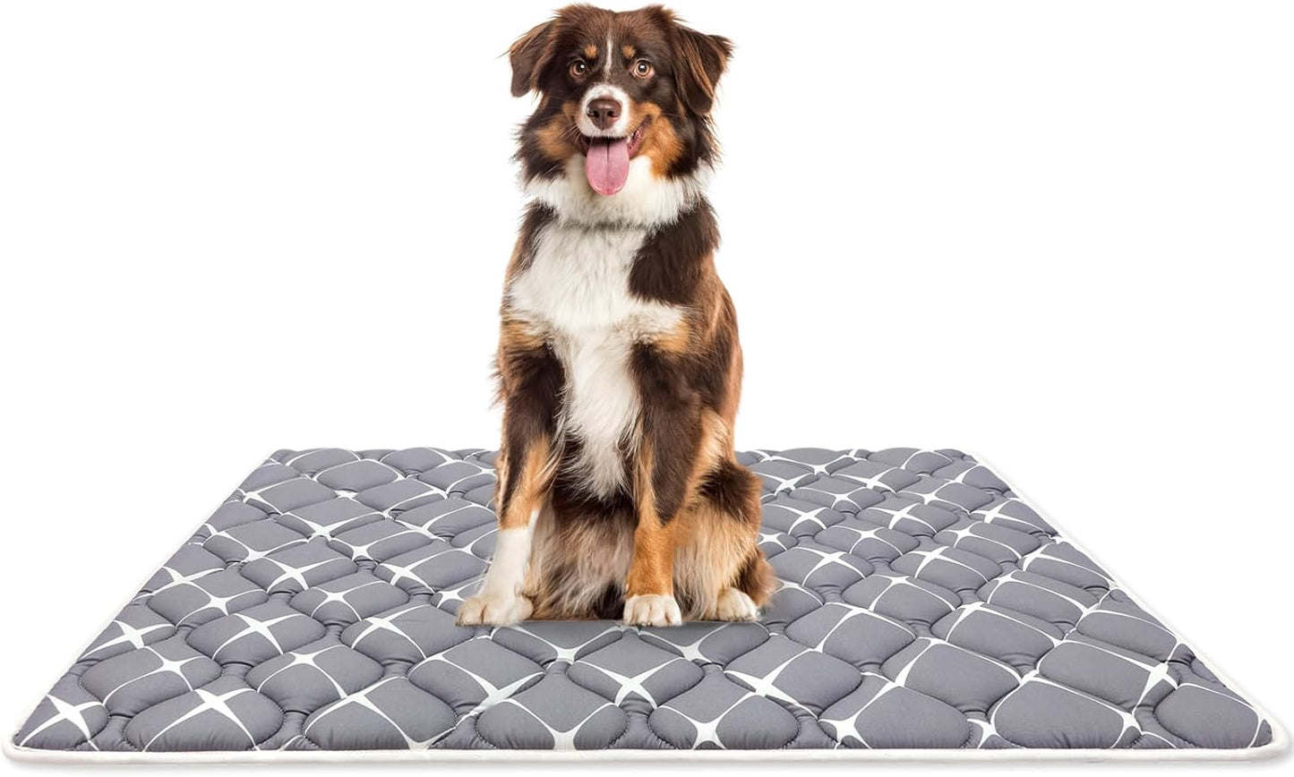 Bubble bear Dog Crate Mat - Ultra Soft, Washable & Anti-Slip Kennel Pad for Small/Medium/Large Dogs, Dark-Hued to Hide Stains (59"x35")