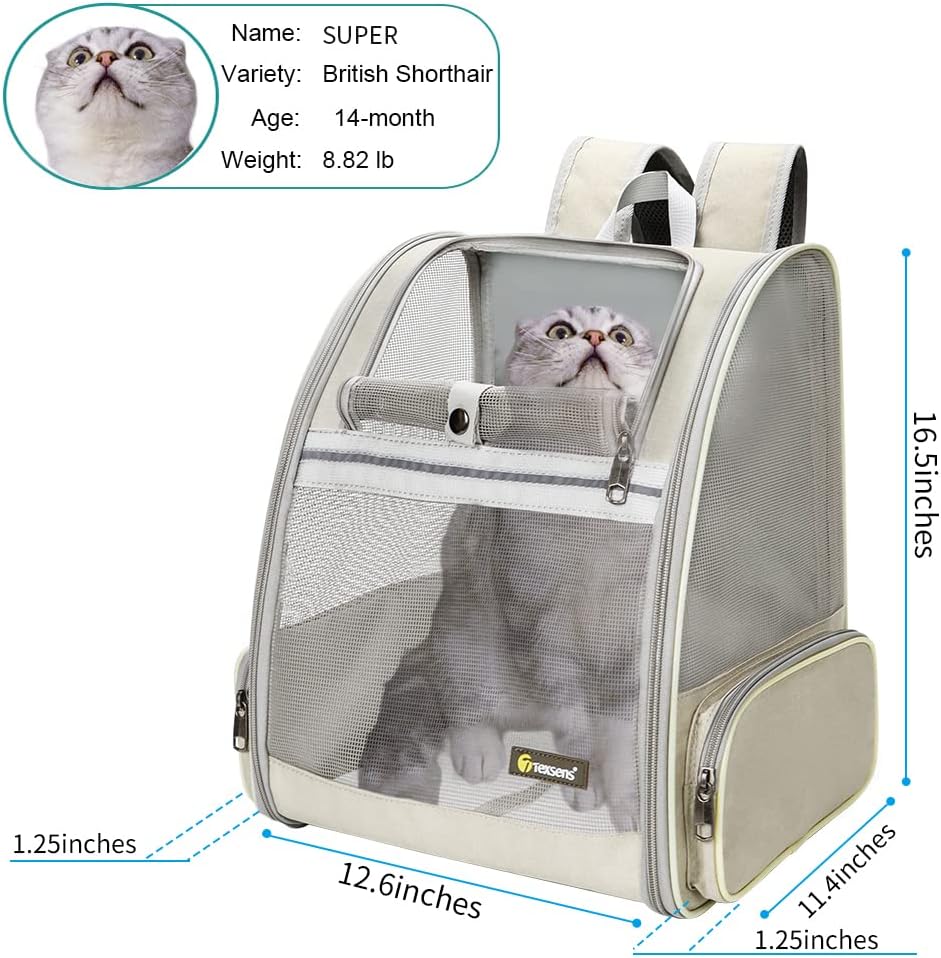 Texsens Pet Backpack Carrier for Small Cats Dogs | Ventilated Design, Safety Straps, Buckle Support, Collapsible | Designed for Travel, Hiking & Outdoor Use (Creamy White)