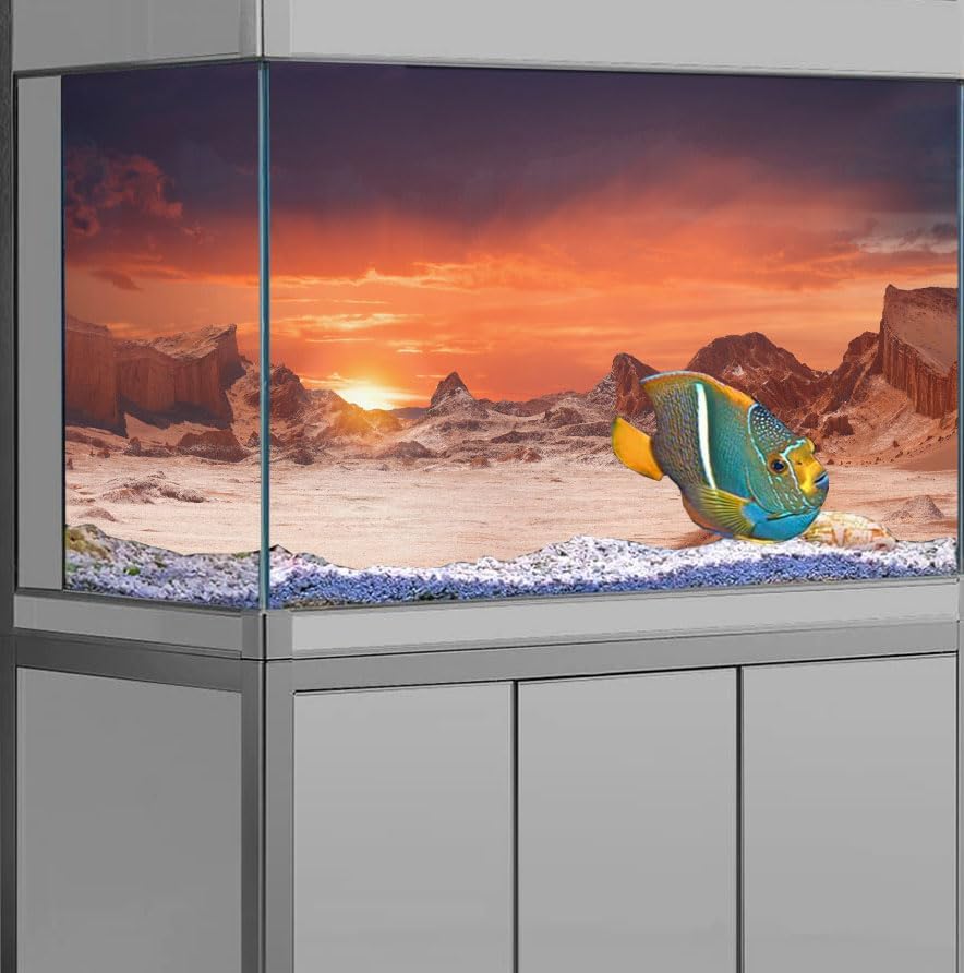 24X16IN Sun and Desert Moon Themed Reptile Habitat on Orange Durable Decorative Background, Terrarium Background with 10EVA Double-Sided Tape