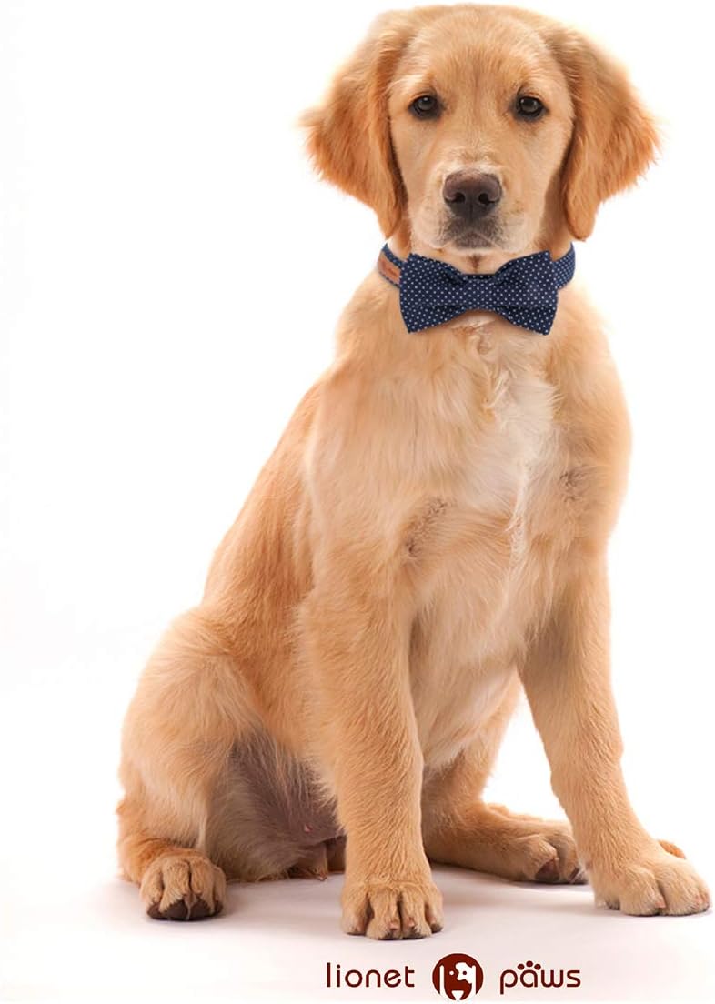 Lionet Paws Boy Dog Collar with Bowtie, Comfortable Adjustable Cute Navy Blue Bow Tie Collar for Male Dogs Gift, Small, Neck 10-16 inches
