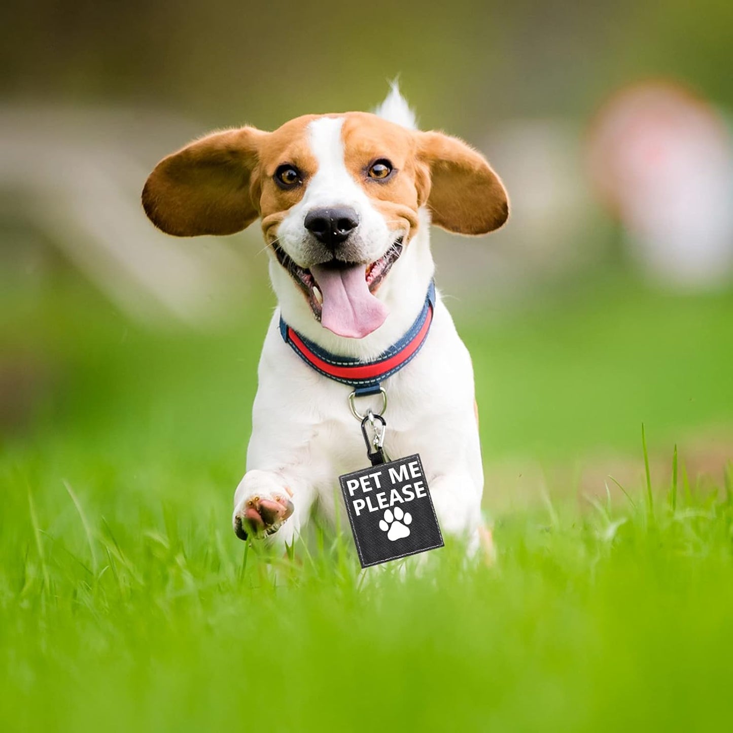 Funny Dog Leash Sleeve Pet Me Please Dog Leash Wrap Wrap Alert Hanging ID Patch Tag Pet Birthday Gift(Pet Me Please-Tag)