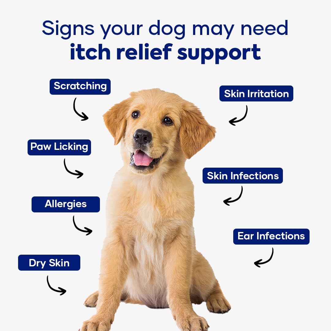 Itch Relief Chews for Dogs – Vitamin E & Borage Oil Supplement – Packed with Beneficial Fatty Acids for Healthy Skin – Seasonal Allergies Support