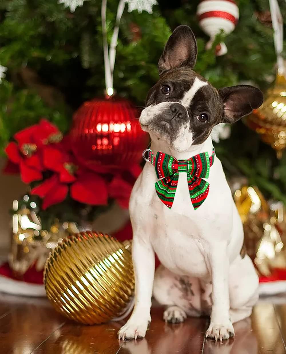 Lionet Paws Christmas Dog Collar with Bowtie, Dog Sailor Bow Collar with Metal Buckle for Dogs, Adjustable Comfortable Dog Collar Girl Gift, M, Neck 13.5-22 in