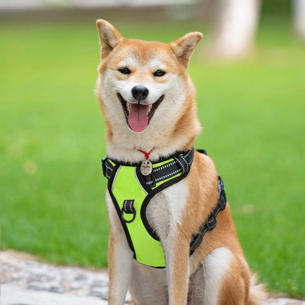 PoyPet No Pull Dog Harness, Reflective Comfortable Vest Harness with Front & Back 2 Leash Attachments and Easy Control Handle Adjustable Soft Padded Pet Vest for Small to Large Dogs (Green,S)