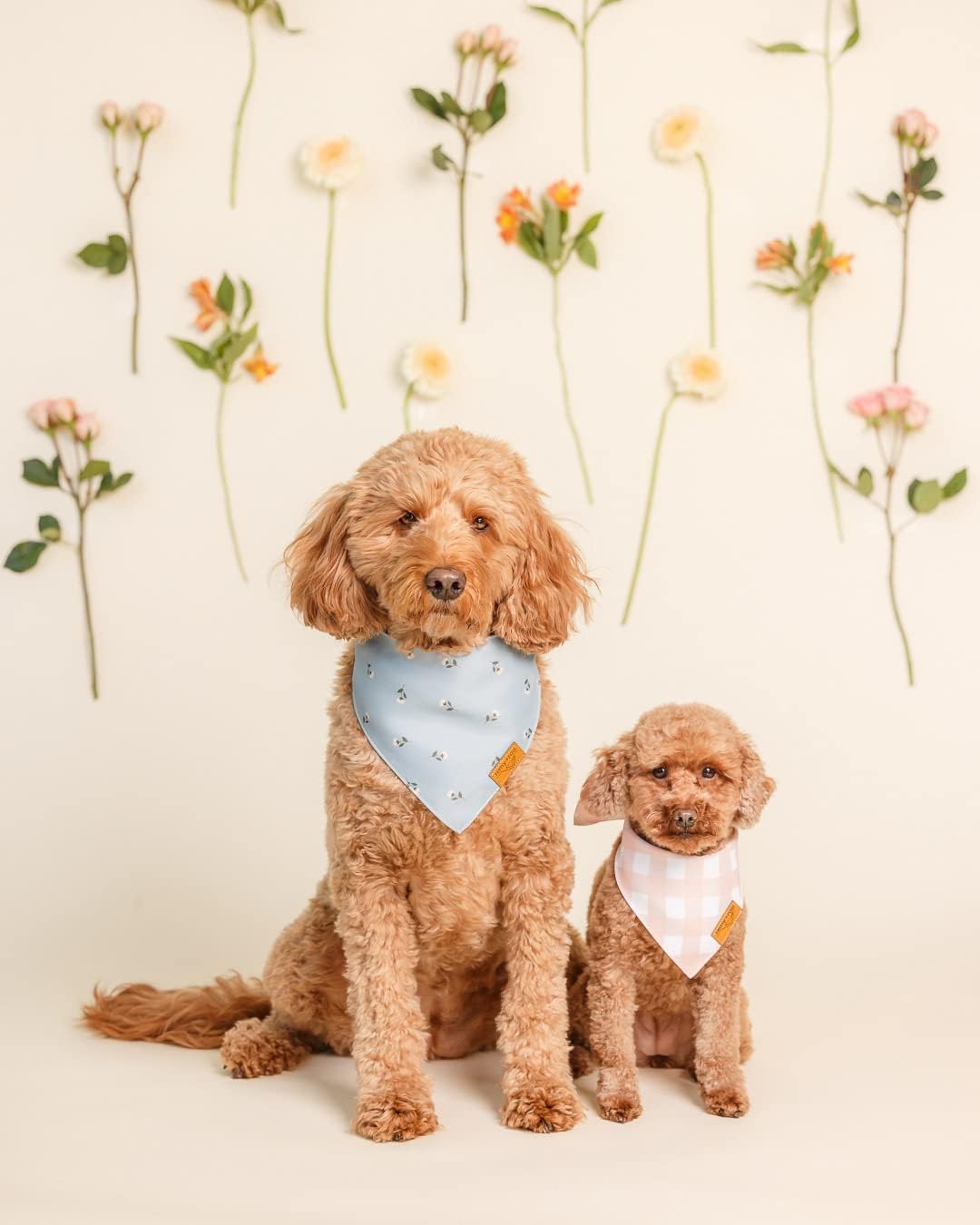 Remy+Roo Small Spring Dog Bandanas - 4 Pack Emily Set | Premium Durable Adjustable Polyester Fabric Dog Scarfs | Patented Shape Girl Dog Bandana, Trendy Patterns, Floral Dog Bandana