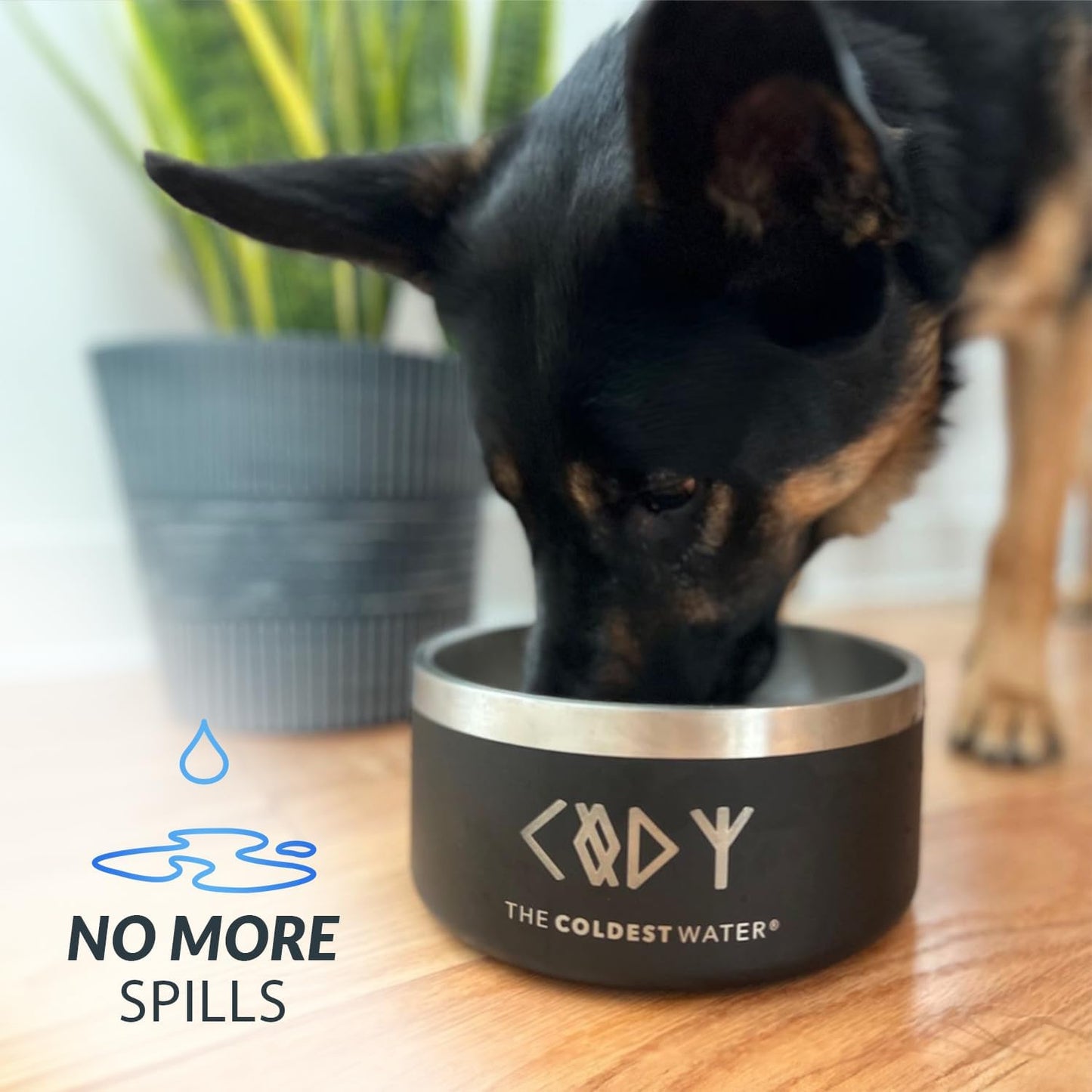 Coldest Dog Bowl - Anti Rust Metal, Non Slip, 3 Layers Insulated Stainless Steel Dog Bowls - Spill Proof & Heavy Duty - Water Bowl for Dogs, Cats & Pets, Dish Washer Safe (64 oz, Forever Pink Glitter)