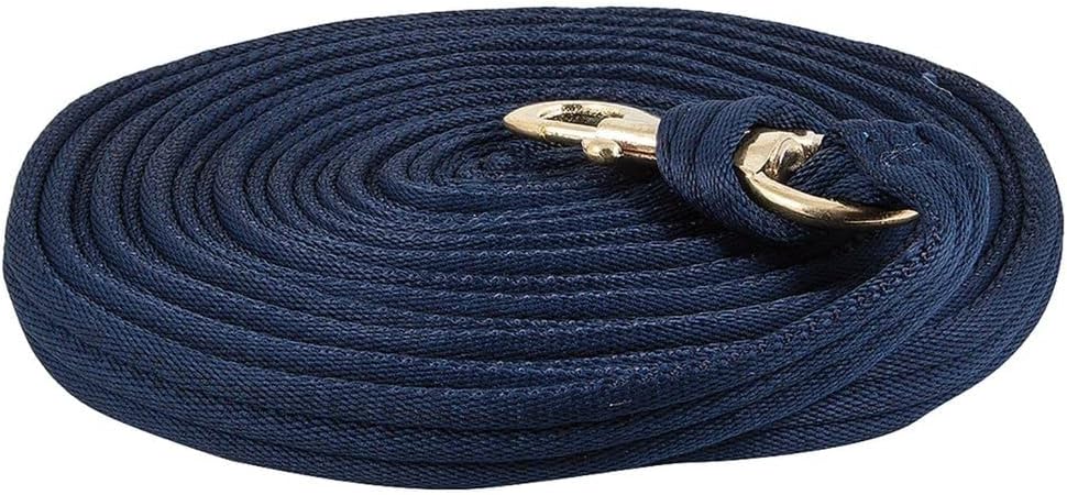 Dura-Tech Cushion Lunge Line for Horses | Stable Use & Horse Training | Horse Lunge Line with Snap | Durable Horse Lead Rope | 30 Foot Length | Replaceable Brass Snap