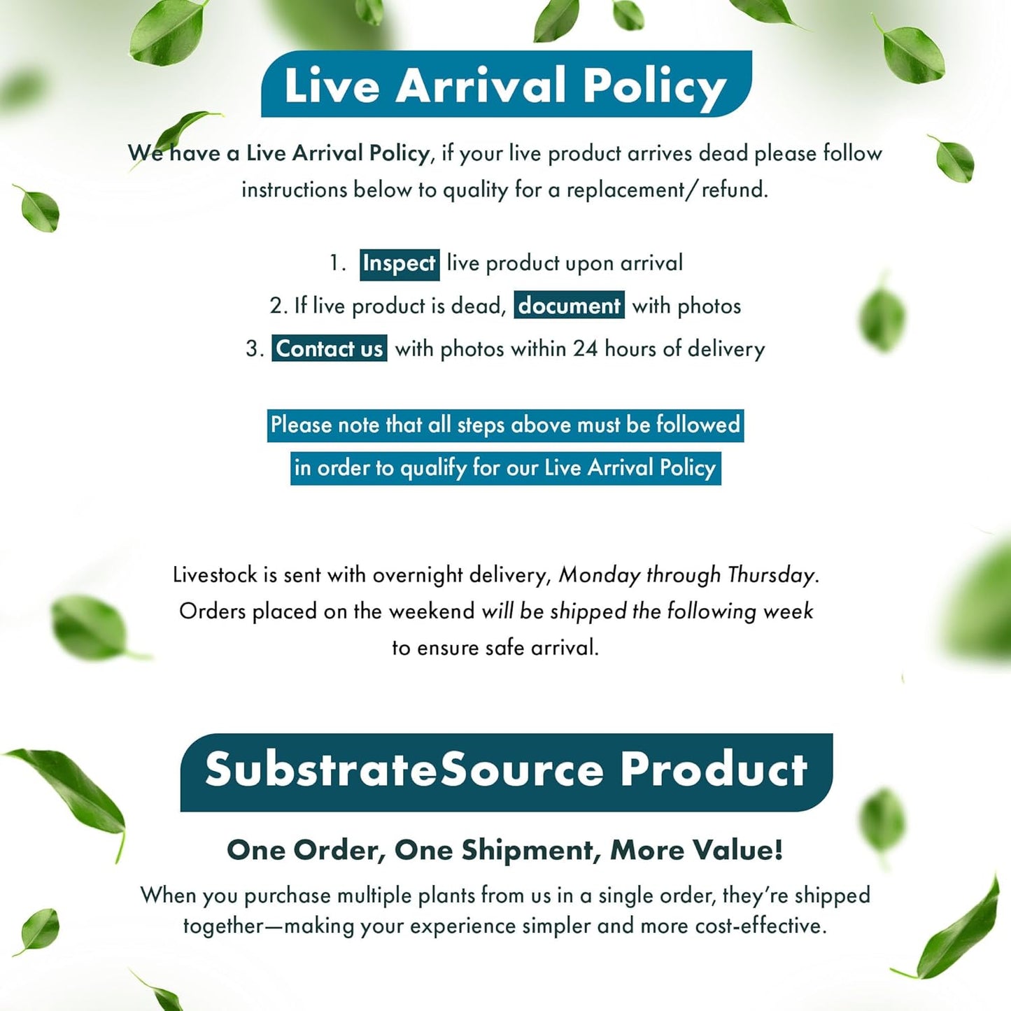 SubstrateSource Live Plants - Cardinal Flower (Lobelia cardinalis) - Moderate to High Light Aquarium Display, Bright Green Accent, Midground Placement for Aquascaping, Stem Aquatic Plant - Pot