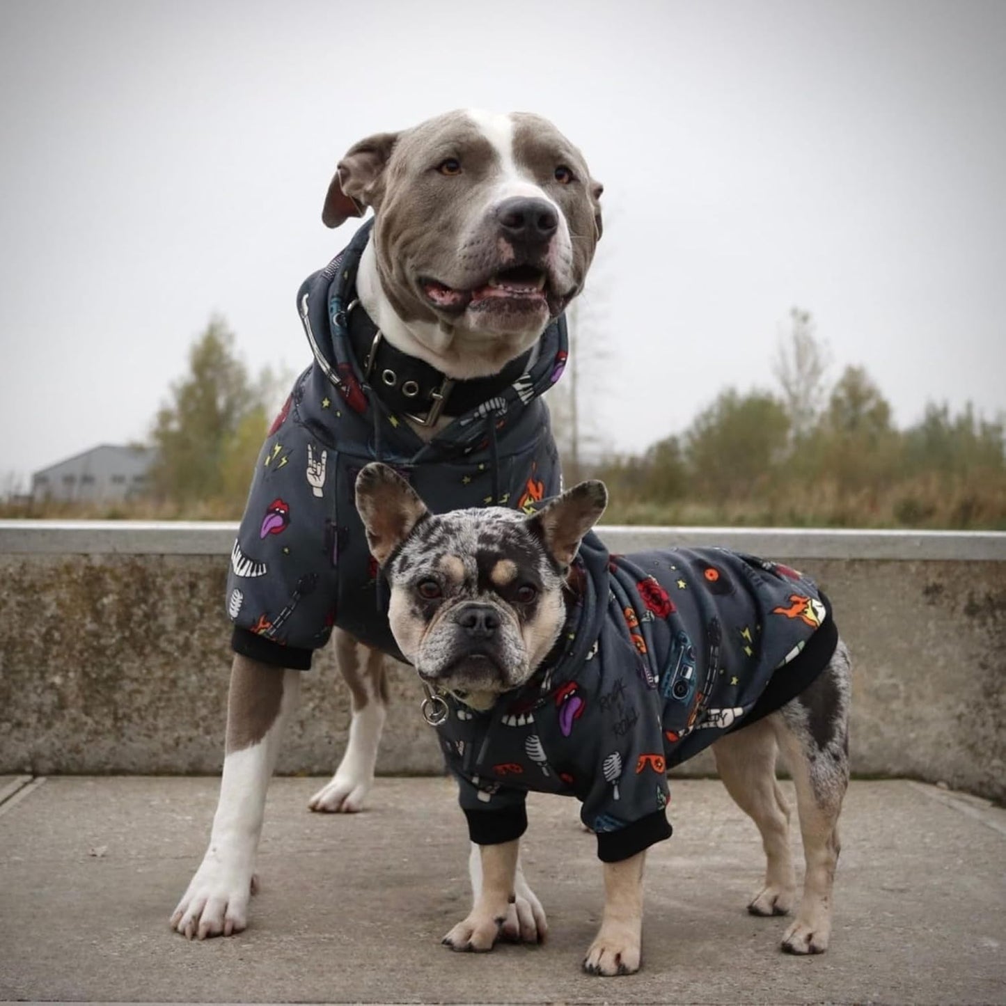 Spark Paws Dog Hoodie – Premium Dog Sweater for Small, Medium, and Large Dogs | Warm Outfits for French Bulldogs, Pitbull, Puppy, Winter Jacket Alternative - Rock and Roll - XL