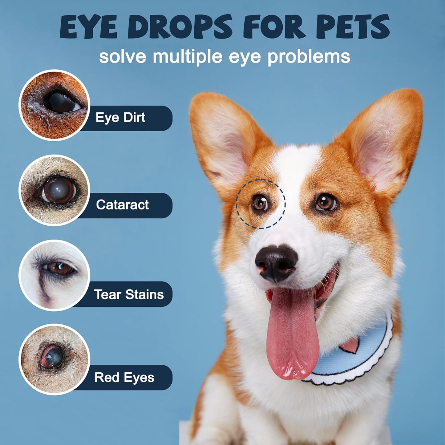 Cataract Drops For Dogs, Natural Safe Dog Eye Drops For Soothe Itching Irritation & Dry Eyes, Improve Eye Vision Clarity, Not For Human Pet Tear Stain Cleaner Suitable for All Animals (2 X 10 ml)