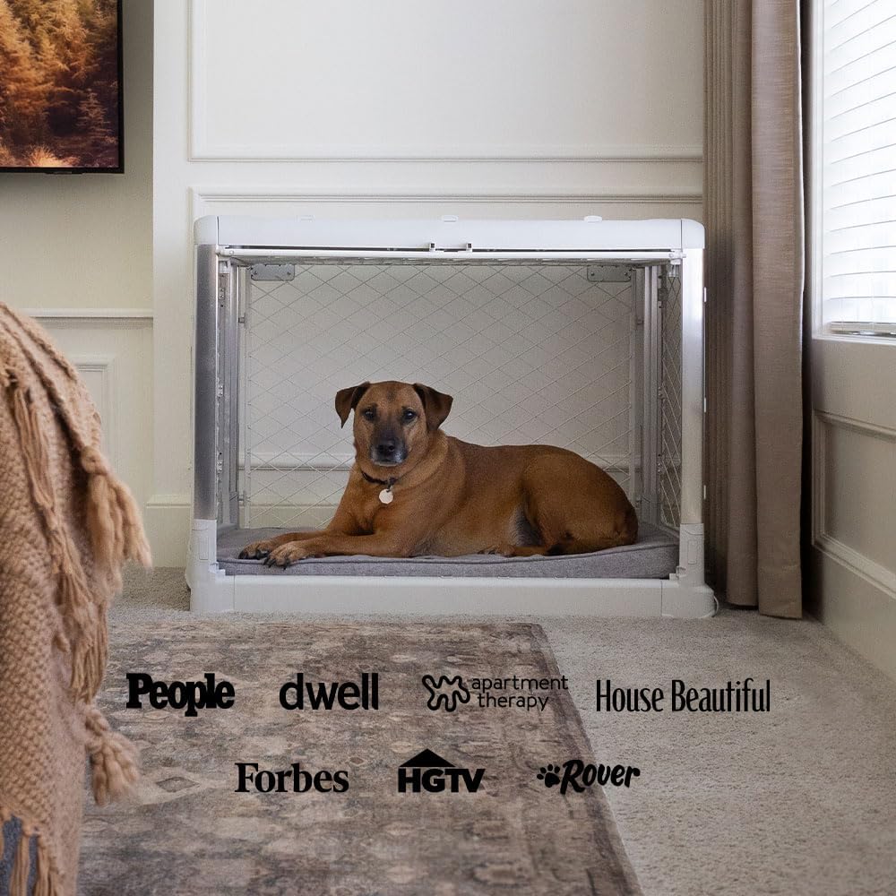 DIGGS Revol Collapsible Dog Crate with Wheels - Premium Portable Dog Crate - Safe, Stylish, and Convenient Indoor Kennel (Ash, Large)