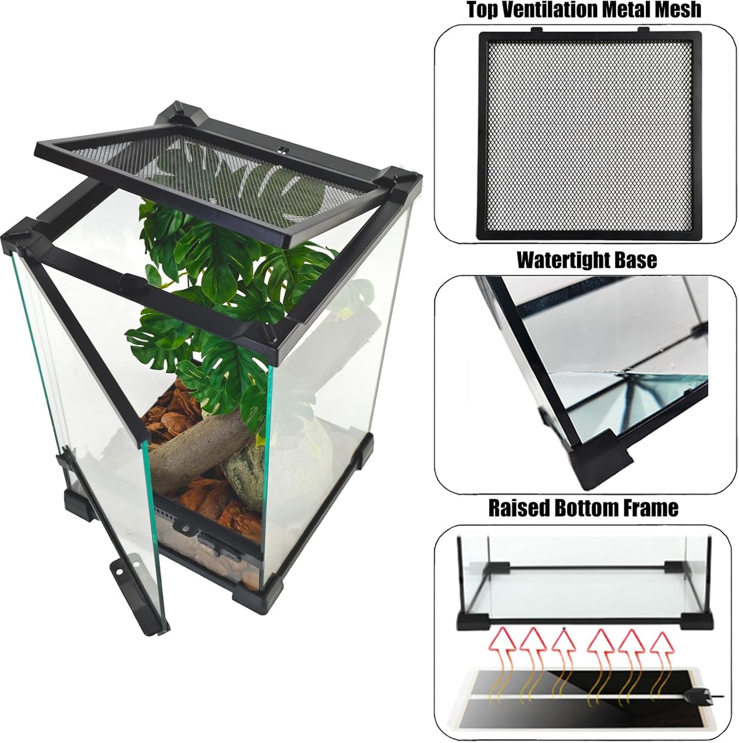 Woyrise Reptile Glass Terrarium Tank 8"x8"x12", Front & Top Opening Door Full View Visually Appealing Mini Reptile or Amphibians Habitat, Stackable Vertical Enclousure for Small Reptiles
