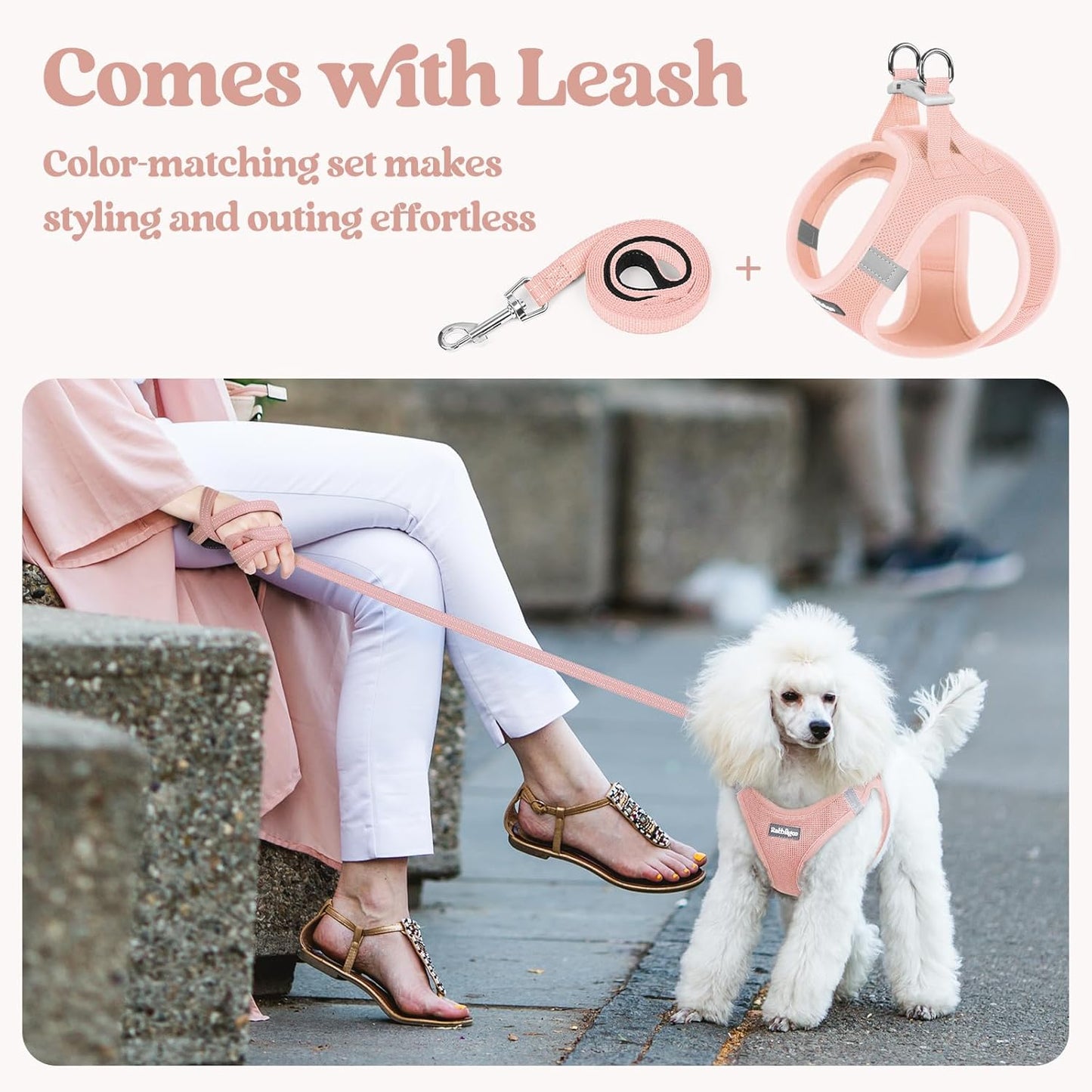 rabbitgoo Dog Harness Small Sized and Leash Set, Step in Soft Light Puppy Vest, Breathable Mesh Pet Harness, Reflective for Outdoor Safe Walking, Pink XXL