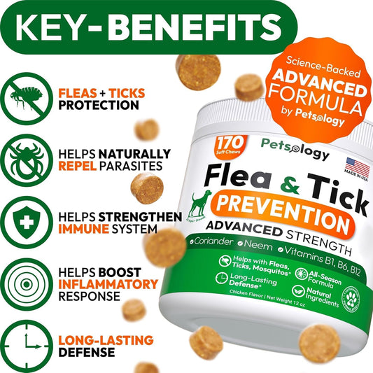 (2 Pack) Flea and Tick Prevention for Dogs Pills - 340 Chews - Natural Dog Flea & Tick Control - Oral Defense Treatment for Dogs Supplement - Vet Formulated - All Breeds & Ages - Made in USA