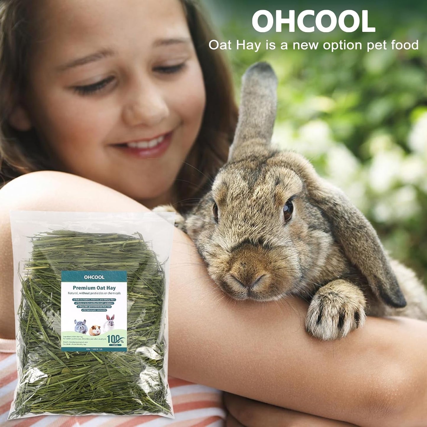 Premium Oat Hay for Pets - Dust Free Natural Green Fresh Pet Food Hay for Rabbits, Guinea Pigs, Chinchillas, Hamsters & Gerbils - 2.2lbs