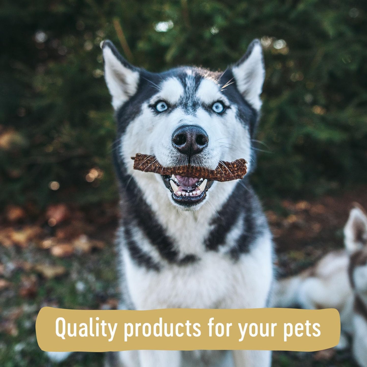 Farm Hounds - Duck Gizzards - Premium Natural Jerky for Dogs - 100% Humanely Raised Duck - Break-to-Size - Great for Training & Treats - No Added Fillers - Made in USA - 4oz - 2 Pack