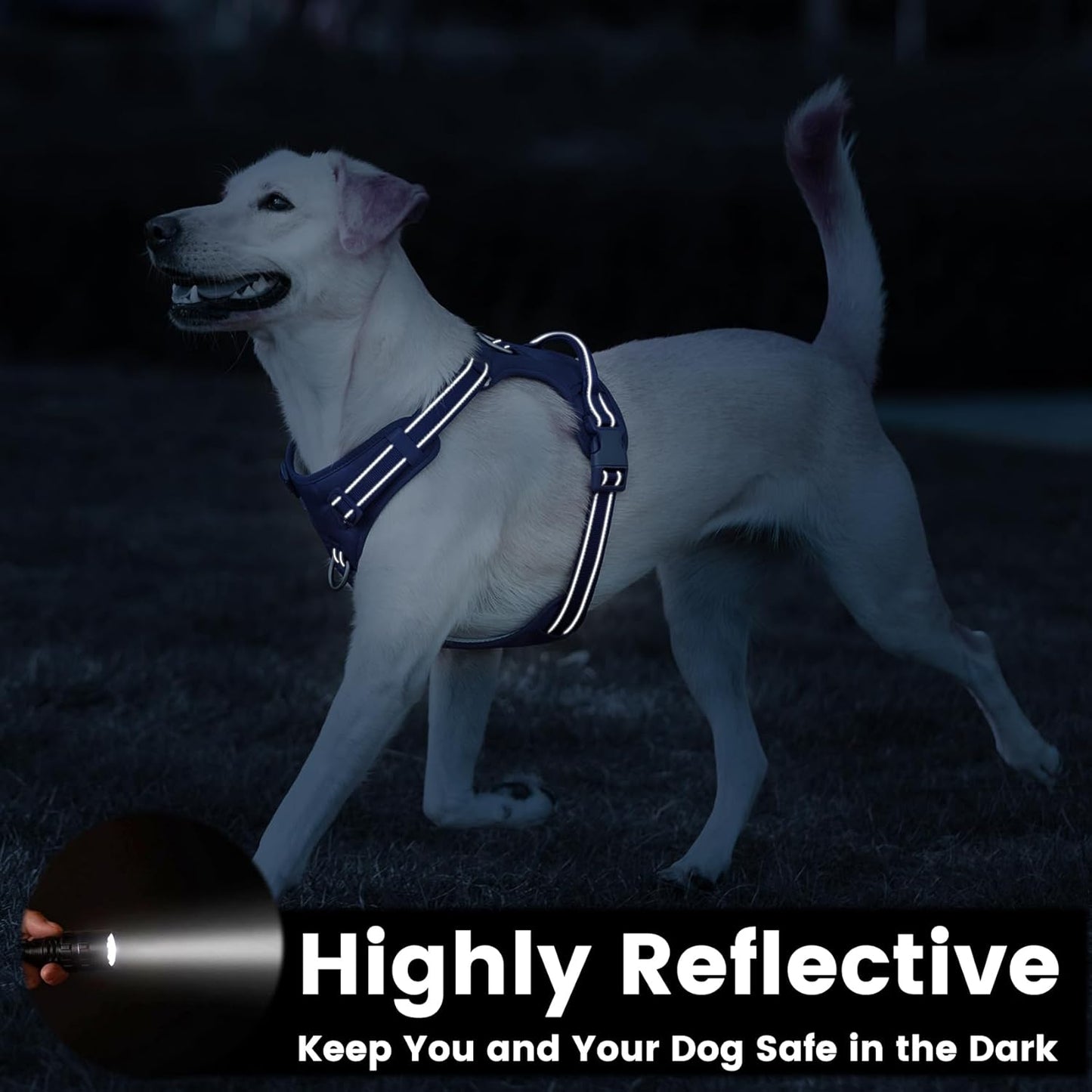 No Pull Dog Harness, Reflective Puppy Vest for Small Medium Large Sized Dog(Prussian Blue,M)