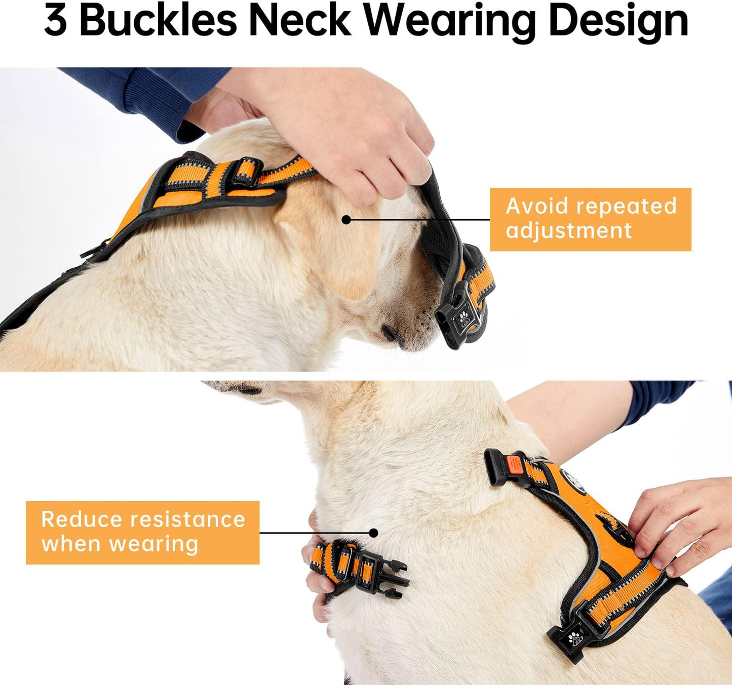 IVY&LANE No Pull Dog Harness for Medium Dogs, Dog Vest Harness with Leash, Safety Belt and Storage Strap, Fully Adjustable Harness, 360° Reflective Strip, Soft Handle (Orange, M)