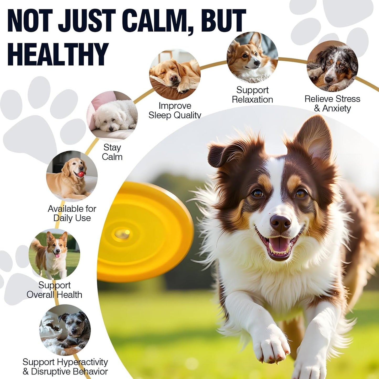 Calming Chews for Dogs 200ct Hemp Dog Calming Chews - Anxiety and Stress Relief Treats Melatonin Bites Sleep Aid for Small/Medium/Large Dogs Calm Dog - Separation, Fireworks, Thunder, Barking,Chewing