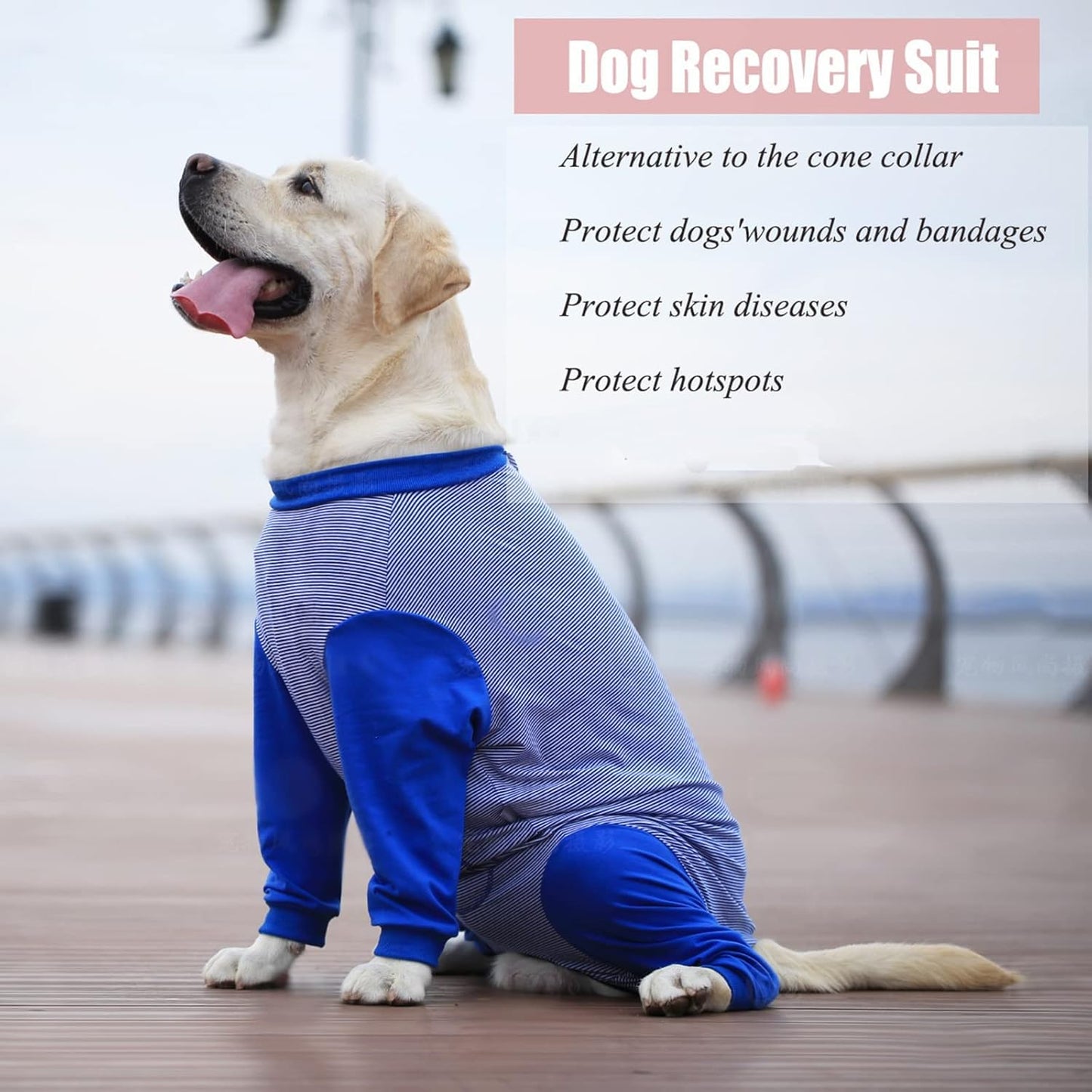 Yeapeeto Dog Onesie Surgery Recovery Suit for Large Medium Bodysuit Dogs Pajamas PJS Full Body for Shedding, Prevent Licking, Wound Protection, Cone Alternative (X-Large, Blue)