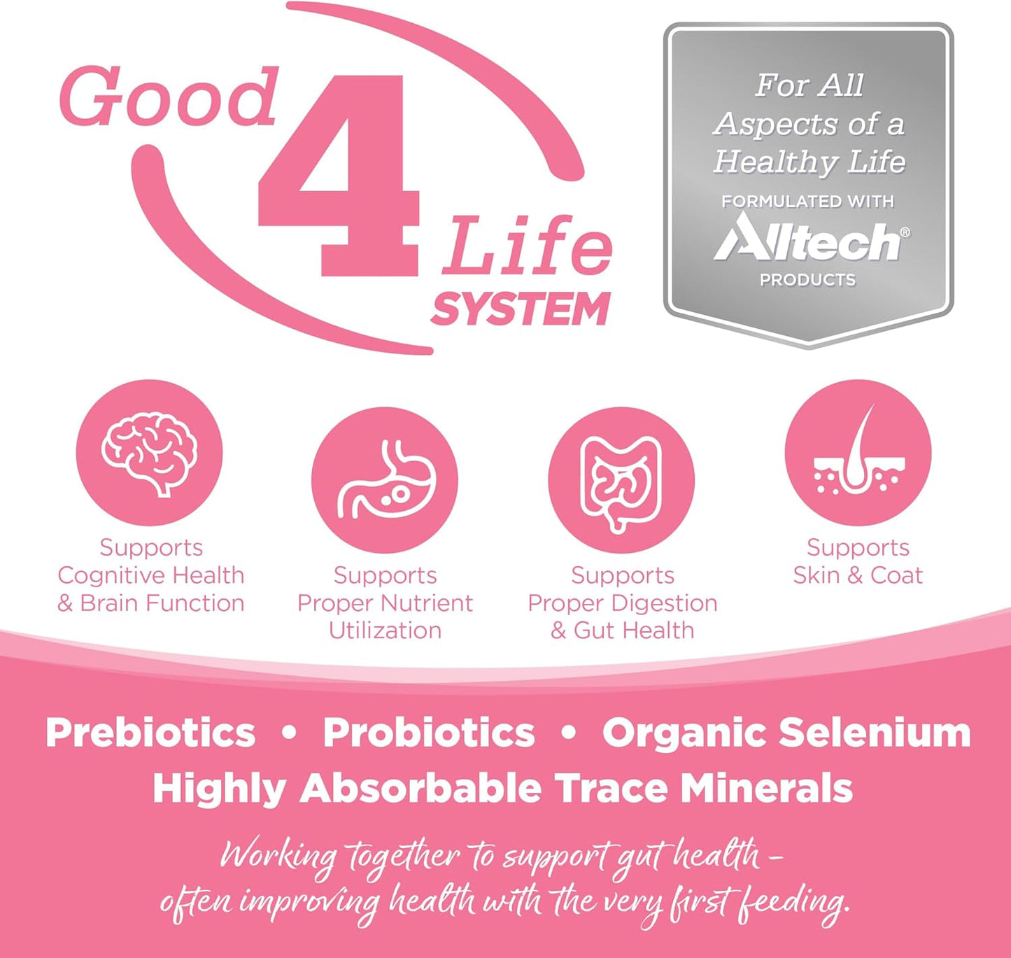 NutriSource Pure Vita Limited Ingredient Grain Free Dry Dog Food, Salmon and Peas, 12LB