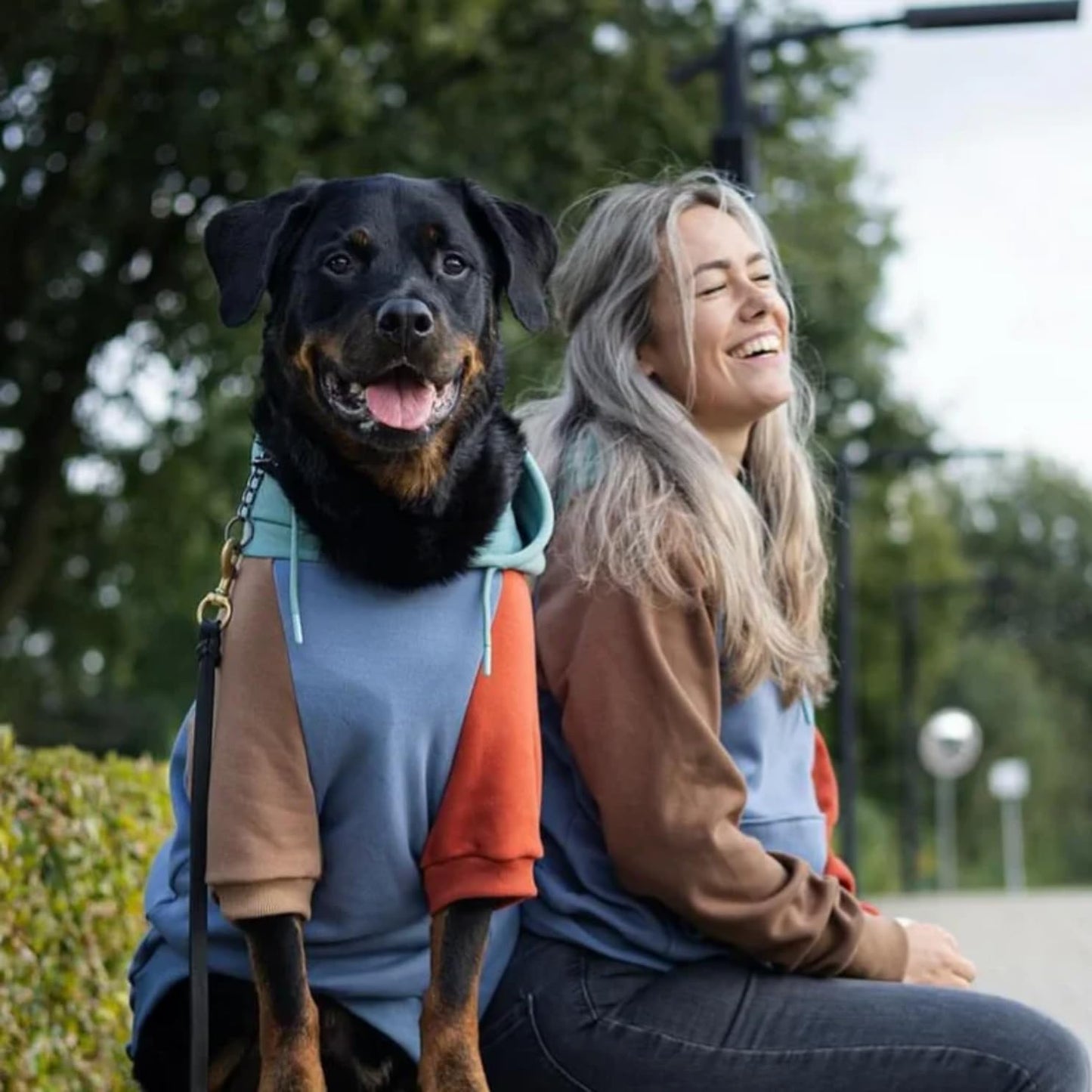 Spark Paws Dog Hoodie – Premium Dog Sweater for Small, Medium, and Large Dogs | Warm Outfits for French Bulldogs, Pitbull, Puppy, Winter Jacket Alternative - Alpine - 3XL