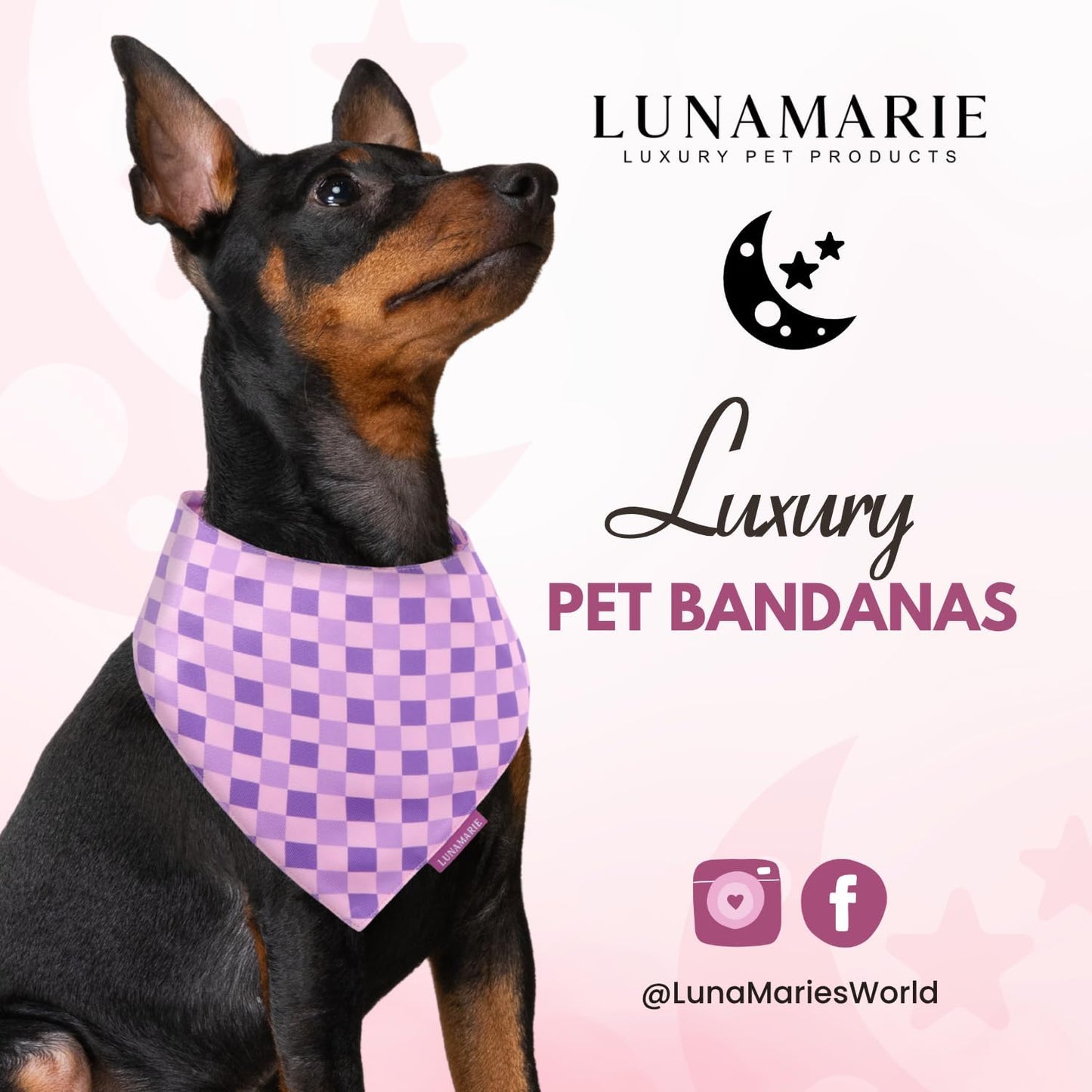 LunaMarie - Luxury Pet Birthday Bandanas -Premium & Silky Poly Fabric | 100% Handmade | Custom Shape Dual Layered (Violeta Rebel, X-Small)