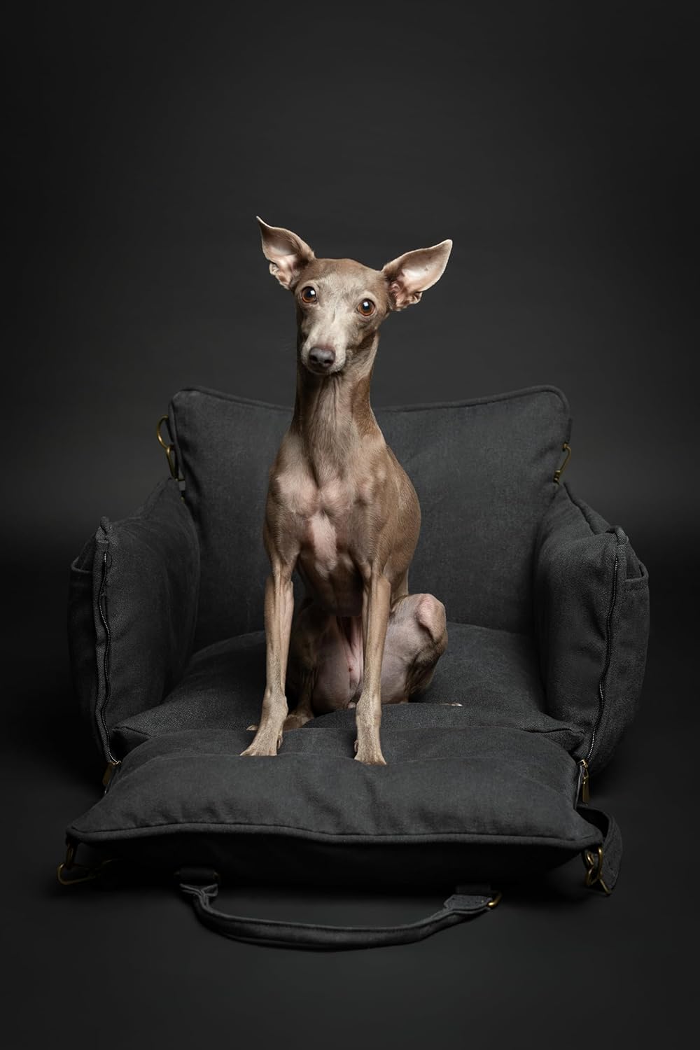 Noah & Paw Dog Car Seat Carrier, Small Dog Car Seat for Small Medium Pets with Harness Clip, 4X Safety Feature, Booster Travel Bed, Waterproof Washable, Orthopedic Foam Filling, Canvas Collection