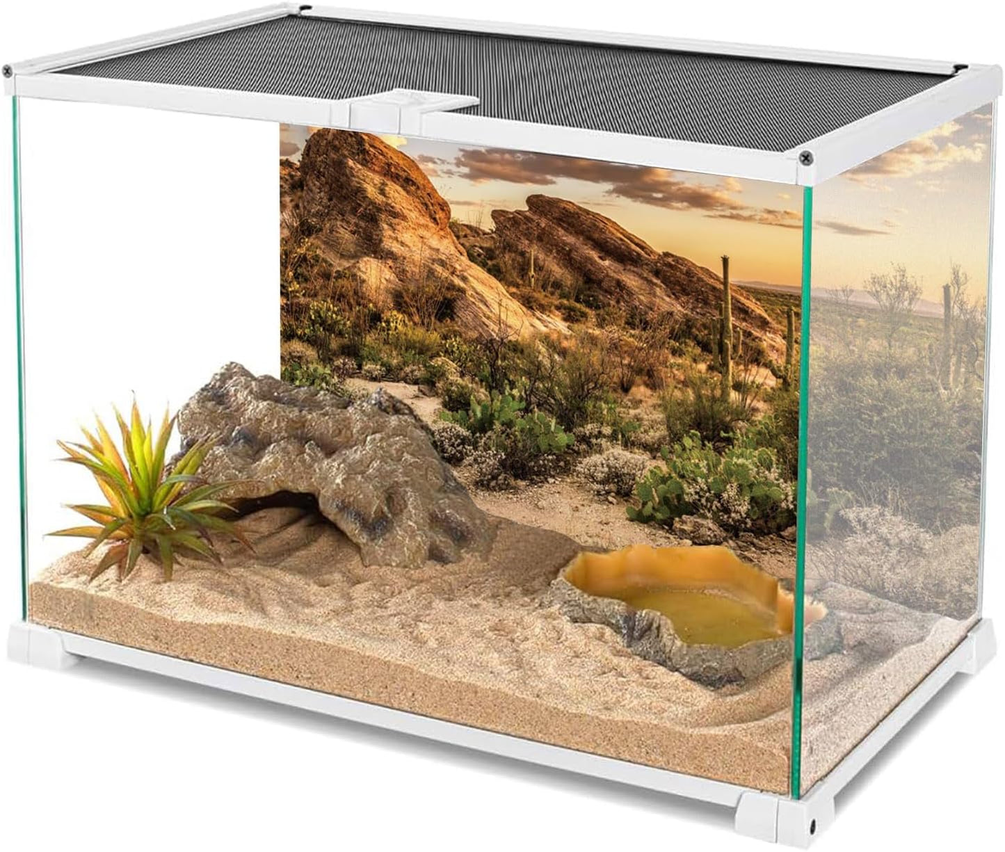 AWERT Reptile Habitat Background Blue Sky Oasis Cactus Sun and Desert Terrarium Background 24x16 inches Durable Polyester Background