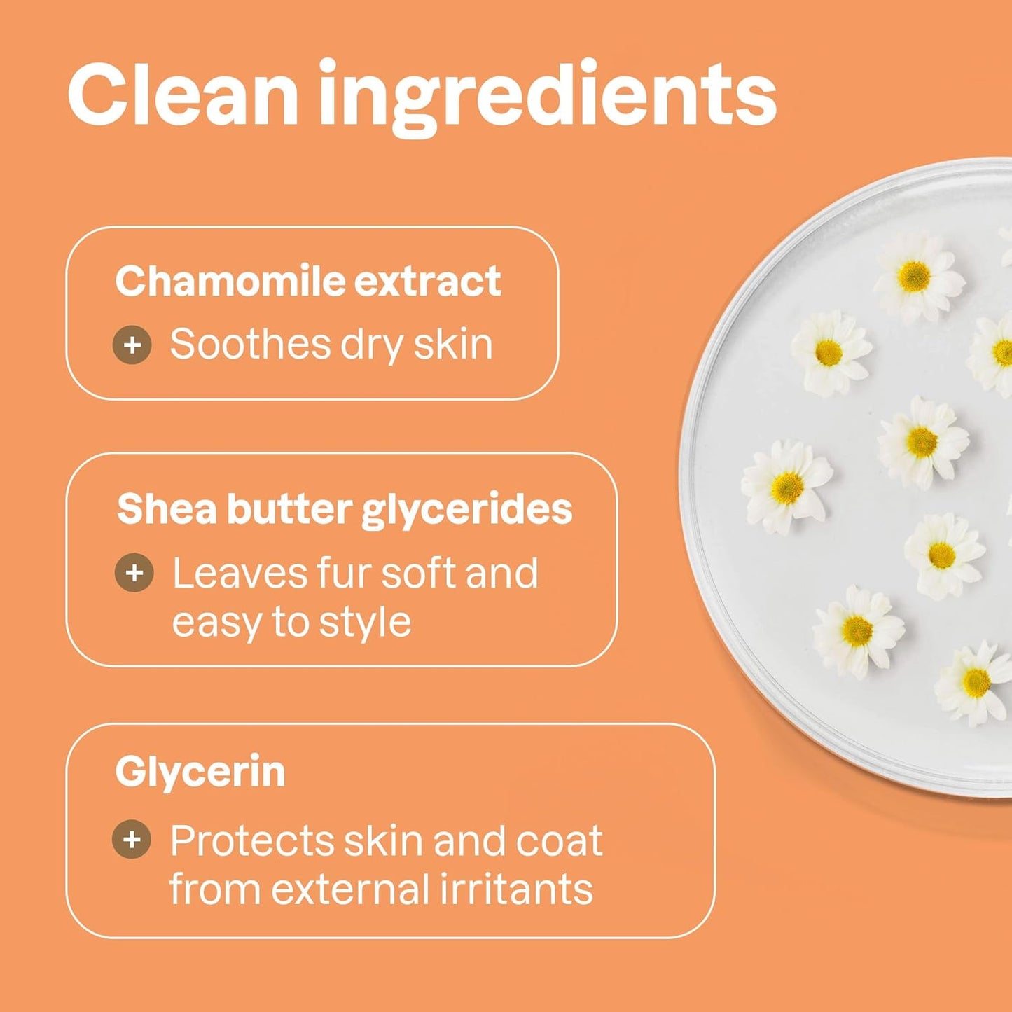 ATTITUDE Waterless Anti-Itching Detangling Spray for Pets, Plant and Mineral-Based Ingredients, Vegan and Cruelty-Free Animal Grooming Products, Lavender, 8 Fl Oz