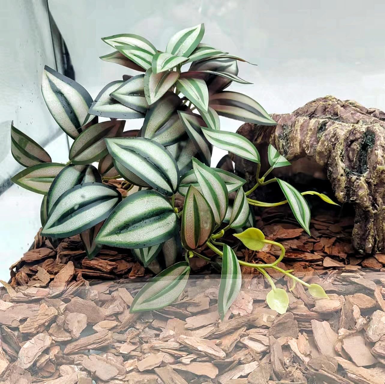 Reptile Plants for Terrarium Decor,Amphibian Habitat Decor, Bearded Dragon Tank Accessories,Artificial Plants for Gecko Chameleon Snake Tortoise with Base (Zebrina)