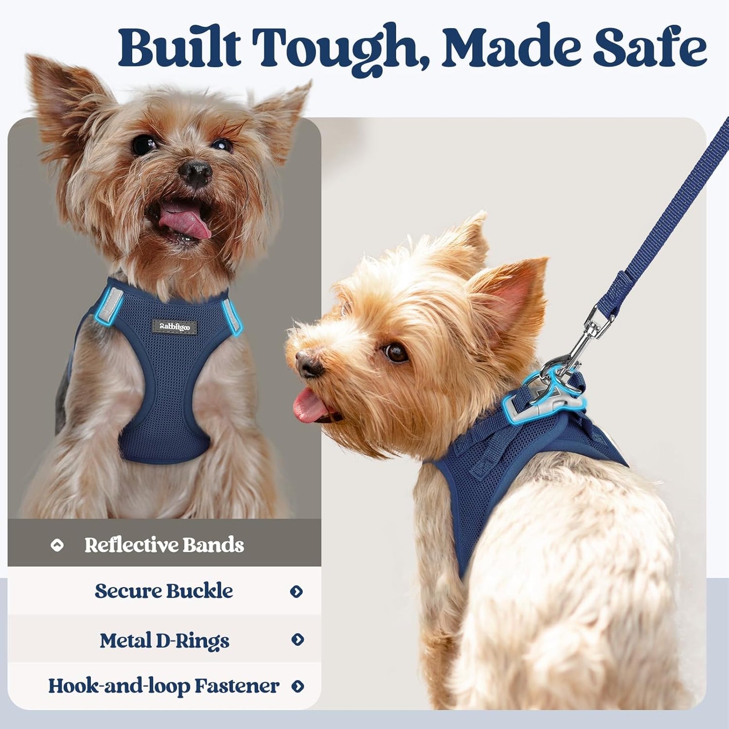 rabbitgoo Dog Harness Small Medium Sized and Leash Set, Step in Soft Light Puppy Vest, Breathable Mesh Pet Harness, Reflective for Safe Outdoor Walking, Navy Blue L