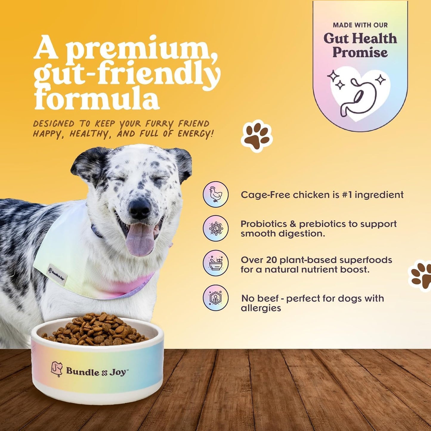 Bundle x Joy Superfood Dry Dog Food - Pet Food for Small, Medium and Large Breeds - Made with Real Ingredients - Nutrient Dense Probiotic Dog Food to Support Healthy Digestion (12 Pound, Chicken)