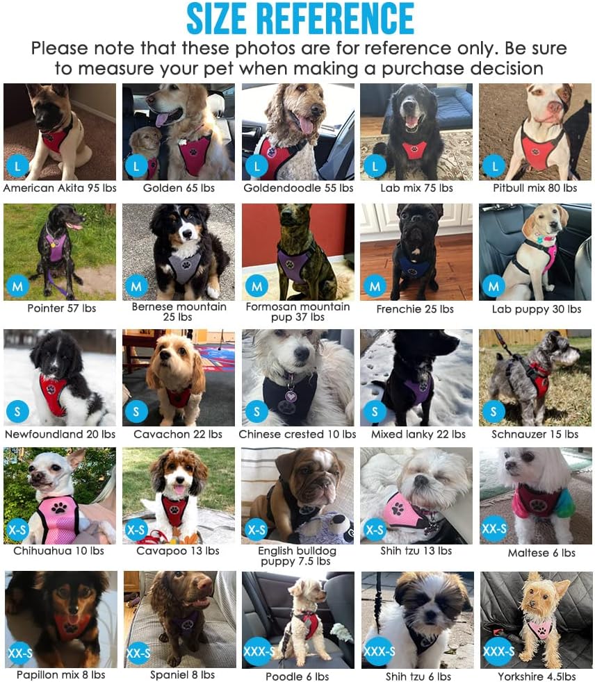 Lukovee Dog Seat Belt for Car, Adjustable Dog Car Harness for Large Medium Small Dogs, Soft Padded & Breathable Mesh Dog Seatbelt with Car Strap and Carabiner(Rose Double Clip,X-Small)