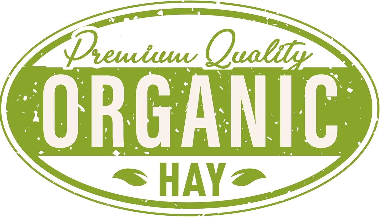 Blue Mountain Hay High-Altitude Hay - Organic Alfalfa, 5lb - High Protein, Fiber & Mineral-Rich - Soft, Leafy, High Leaf Retention - Ideal for Goats, Rabbits, Guinea Pigs & Other Small Animals
