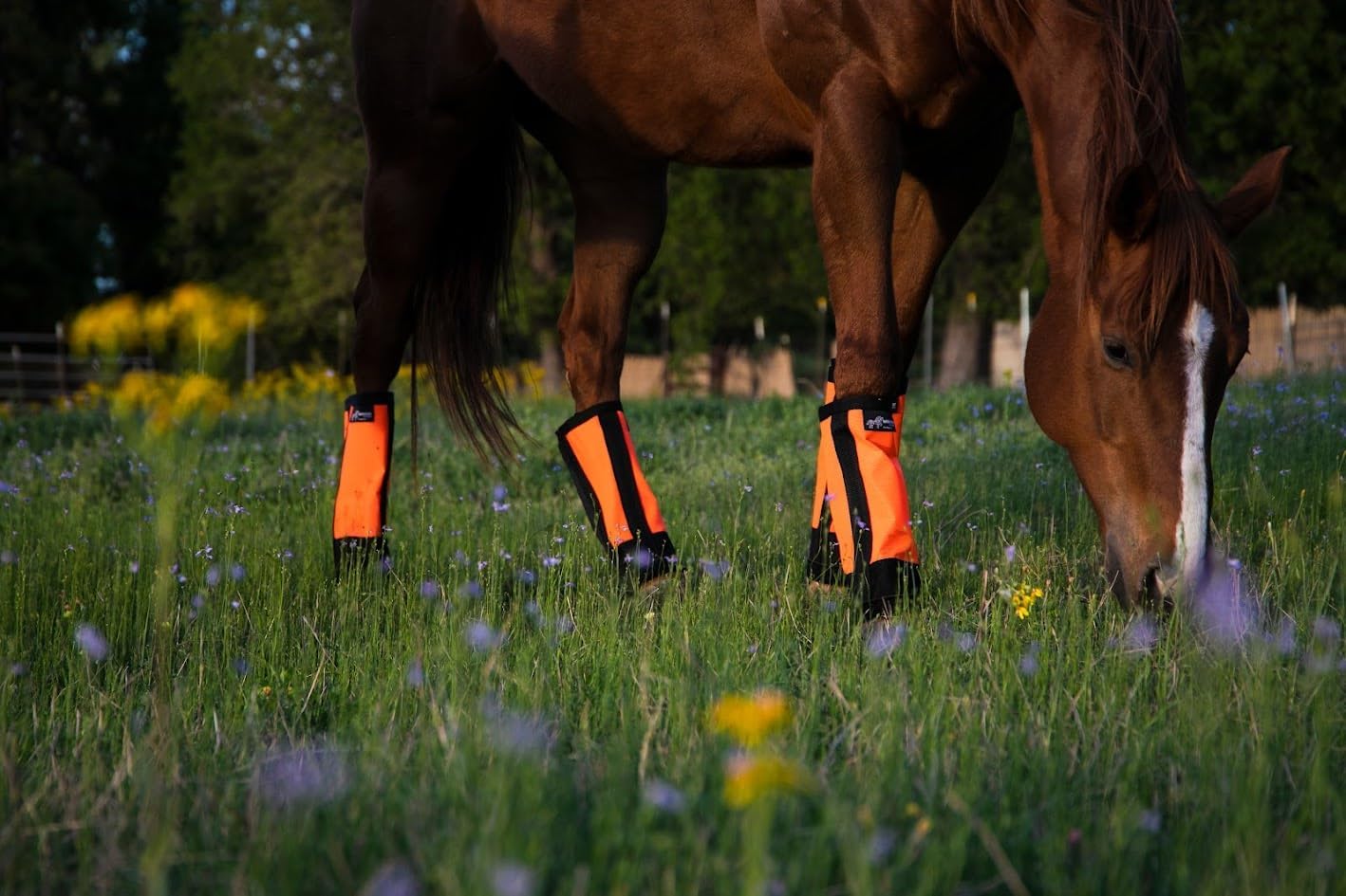 Warrior Fly Boots for Horses - Breathable Mesh Horse Boots for Fly Protection & Leg Comfort - Set of 4 (Knight Warrior, Neon Orange)